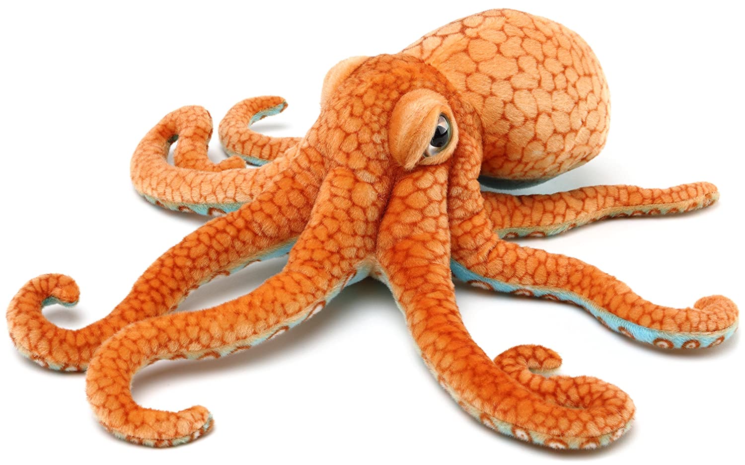 octopus1