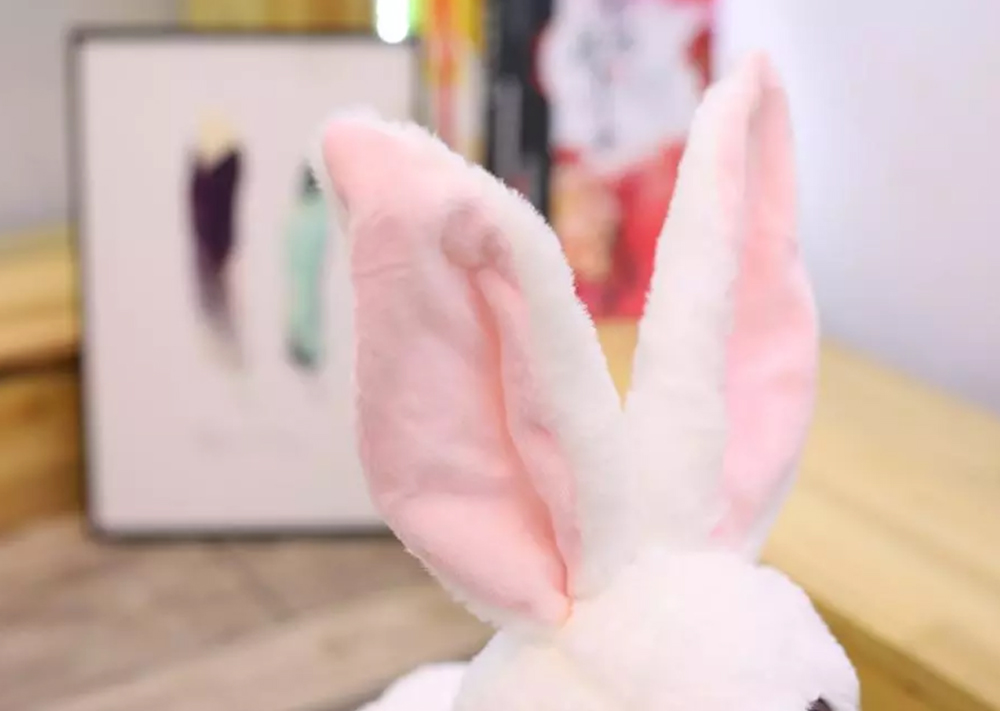 Rabbit2