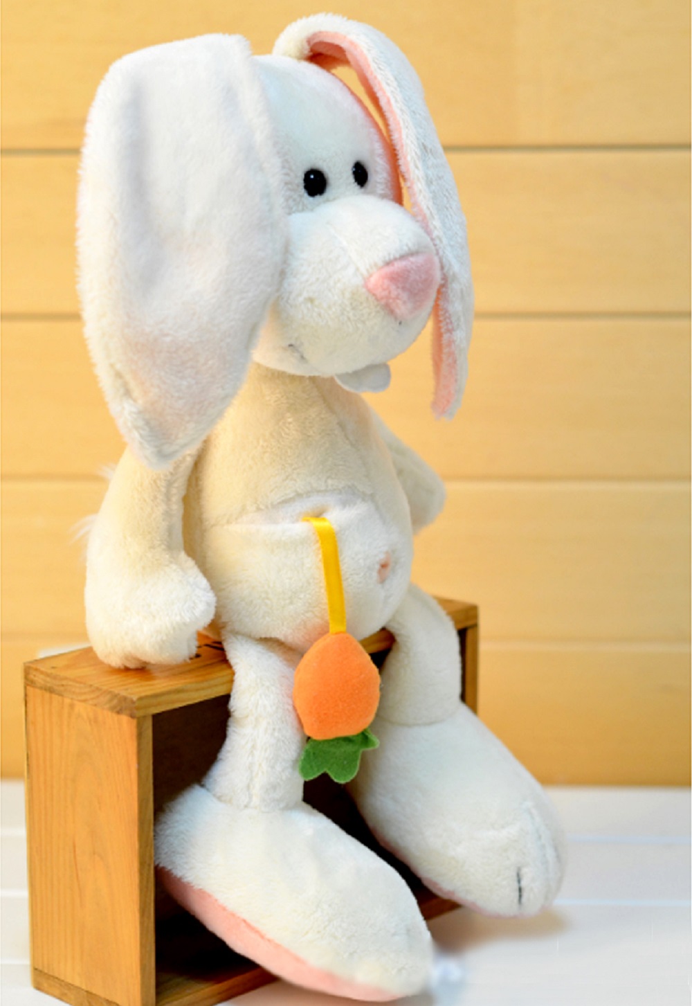 Rabbit2