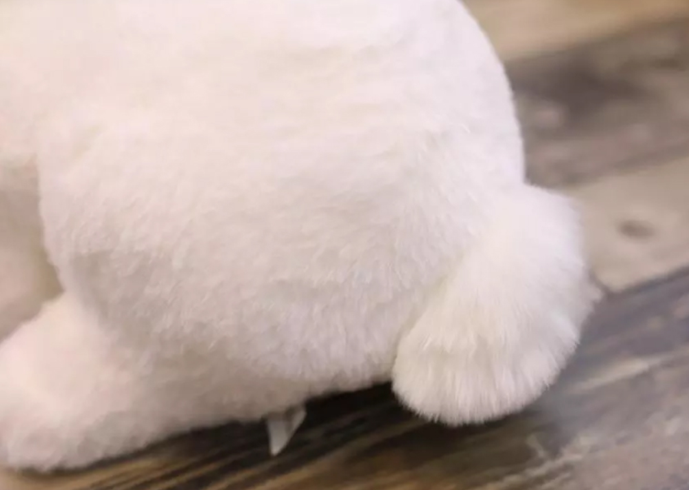 Rabbit3