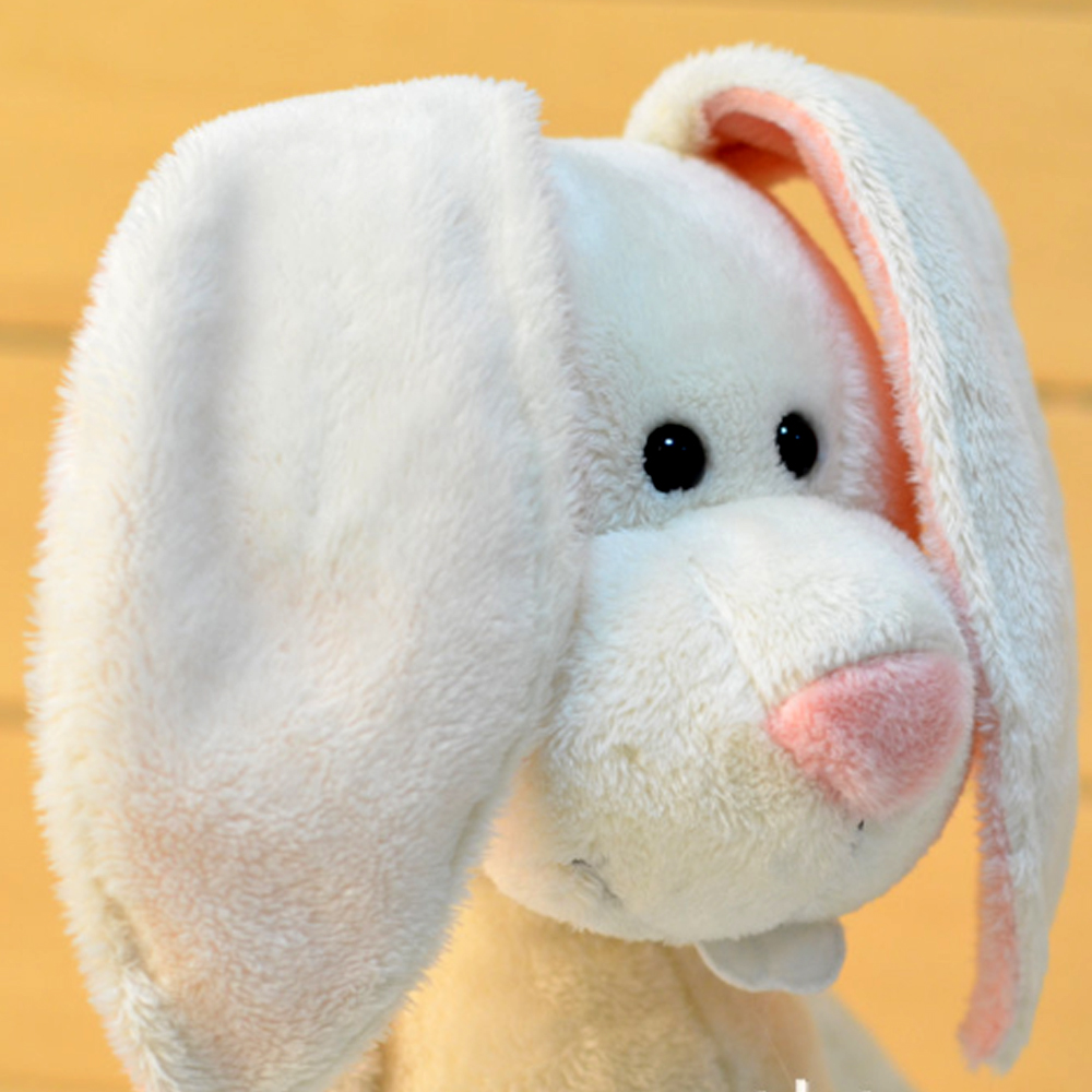 Rabbit4