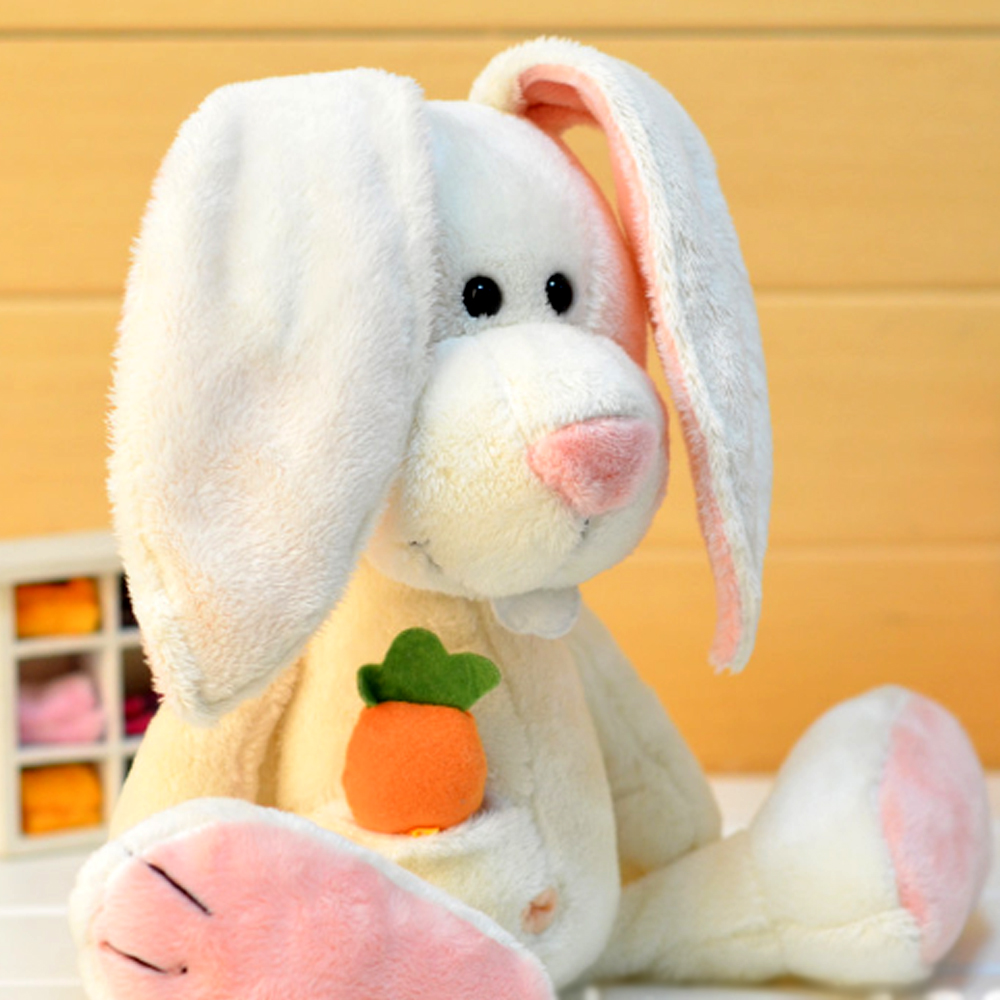 Rabbit5