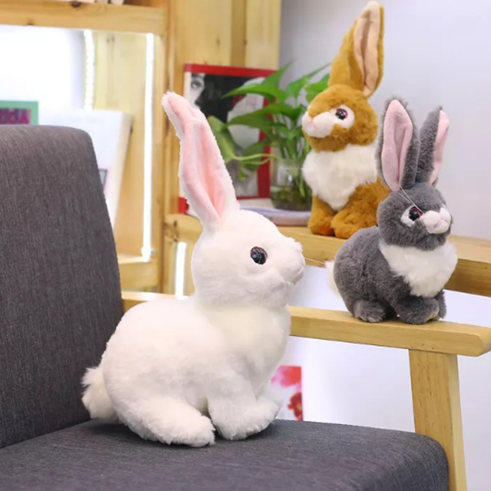 Rabbit8
